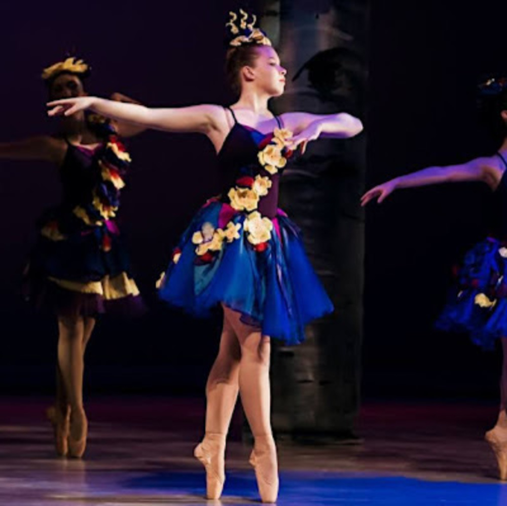 Meet your Posher, Anna